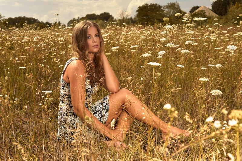 Sinnliche Fotografie in der Blumenwiese